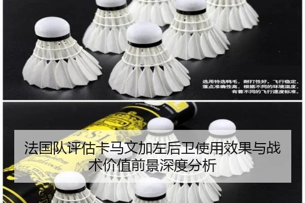 法国队评估卡马文加左后卫使用效果与战术价值前景深度分析