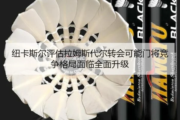 纽卡斯尔评估拉姆斯代尔转会可能门将竞争格局面临全面升级